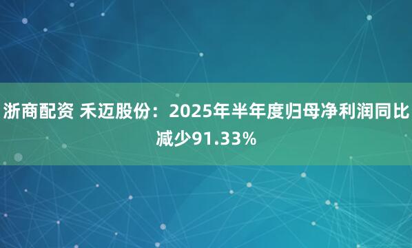 浙商配资 禾迈股份：2025年半年度归母净利润同比减少91.33%