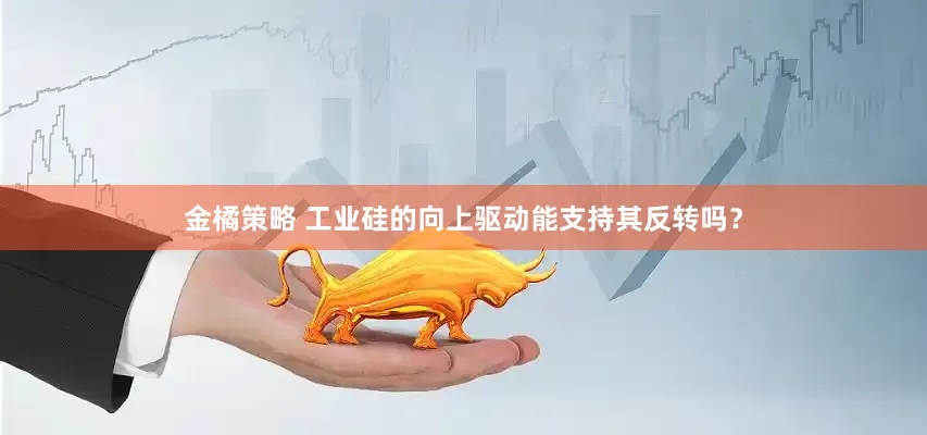 金橘策略 工业硅的向上驱动能支持其反转吗？