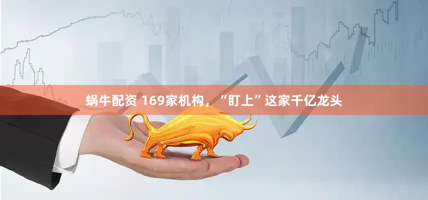 蜗牛配资 169家机构，“盯上”这家千亿龙头