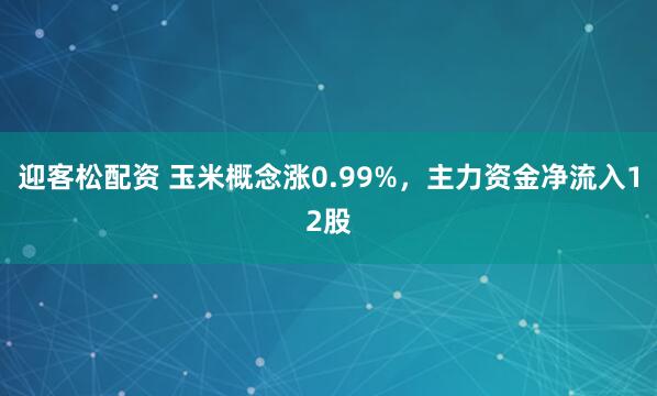 迎客松配资 玉米概念涨0.99%，主力资金净流入12股